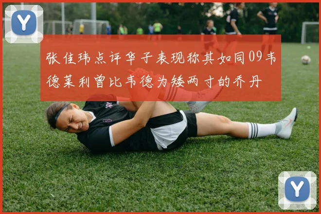 张佳玮点评华子表现称其如同09韦德莱利曾比韦德为矮两寸的乔丹